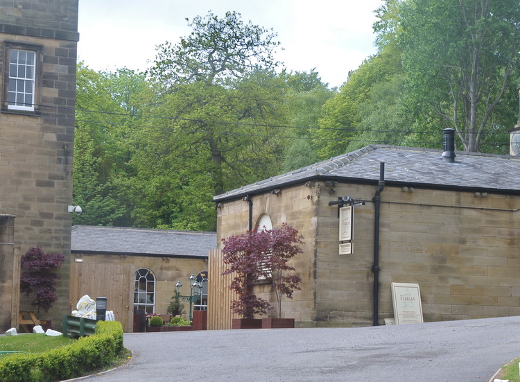 Fungo d''oltre manica